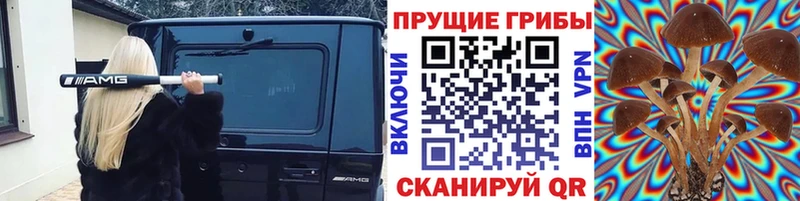 Псилоцибиновые грибы Psilocybine cubensis  Пласт 
